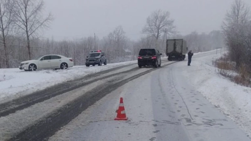 На Сахалине автобус с детьми улетел в кювет — прокуратура организовала проверку