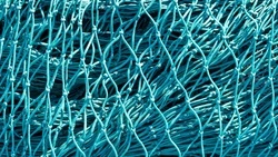 Двое сахалинцев заплатили штрафы по 100 тысяч рублей за вылов 15 хвостов симы