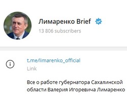 Лимаренко первым из губернаторов ДФО получил синюю галочку в Telegram
