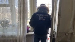 Следком обвинил в расправе над приятелем ранее судимого жителя Южно-Сахалинска