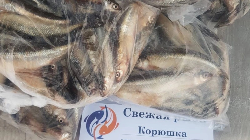 Продажу красноперки и корюшки по доступной цене начали в Поронайске 30 ноября