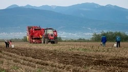 Социальные магазины, новая продукция и проекты. Итоги работы сахалинского минсельхоза