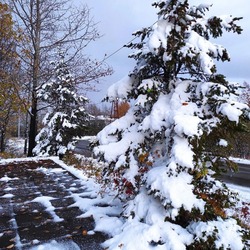 Первый снег выпал в Охинском районе днем 5 октября