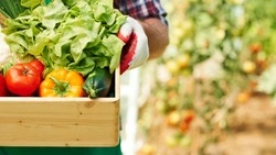 Жителям Сахалина напомнили о местах для продажи излишков урожая