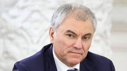 Володин: с 2025 года Госдума приняла 10 федеральных законов против мошенничества