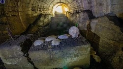 На Сахалине туристы посетили таинственные штольни с кучей раковин гребешка — ФОТО