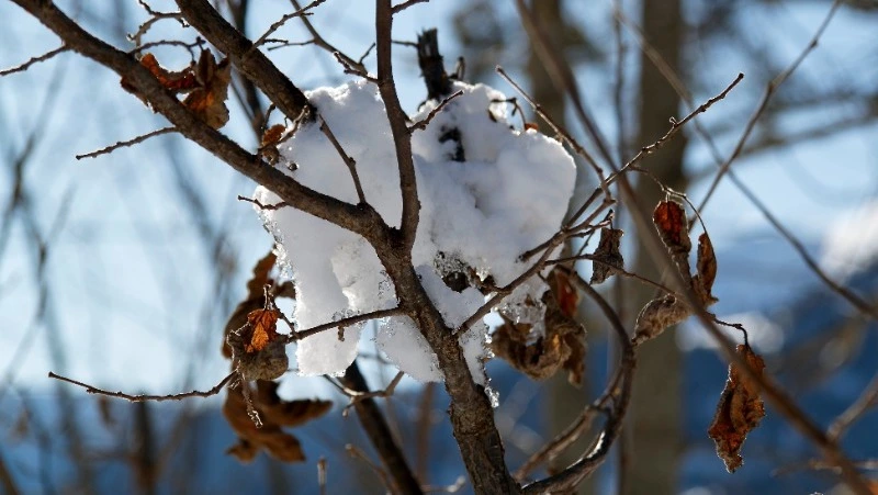 Народные приметы на 19 марта 2024 года: что нужно сделать, чтобы не остаться без денег