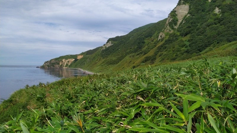 Мыс Ефремова: сахалинцы решат судьбу нового географического названия