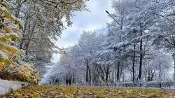 Охинские энергетики справились с последствиями мощного циклона