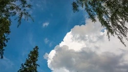 Облачно и до +26 градусов ждет жителей Южно-Сахалинска 10 августа