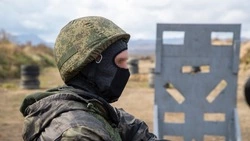 ВС РФ освободили  Песчаное в Днепропетровской области