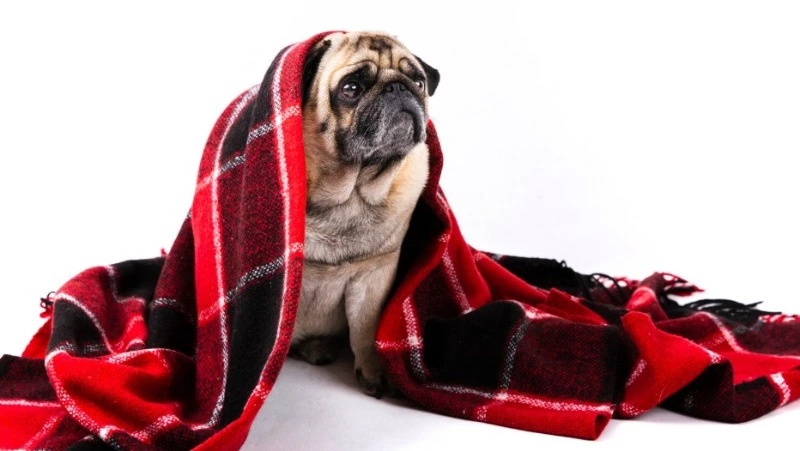 Отопление и горячую воду отключат в ЖК и на двух улицах Южно-Сахалинска 12 марта 