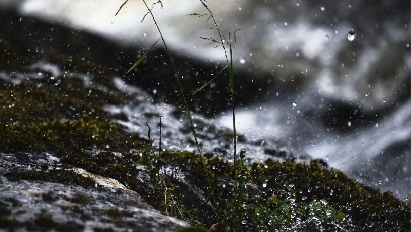 Дожди и сильный ветер придут на Сахалин и Курилы 4 апреля