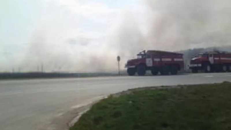 В лесах трех районов Сахалина возможны пожары