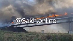 Появилось видео с места пожара на угольном конвейере в Углегорском округе