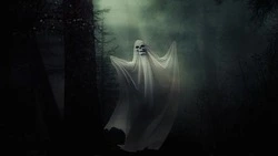 Жительница Южно-Сахалинска засняла привидение (ВИДЕО)