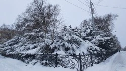 Холодная ночь и день без осадков ожидают жителей Южно-Сахалинска 11 января