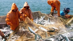 Рыбаки Сахалинской области результативно завершили год