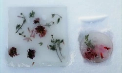 Выставку хрустальных картин откроют в парке Южно-Сахалинска 23 декабря