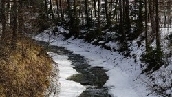 Городские службы Южно-Сахалинска ведут ежечасный мониторинг из-за циклона