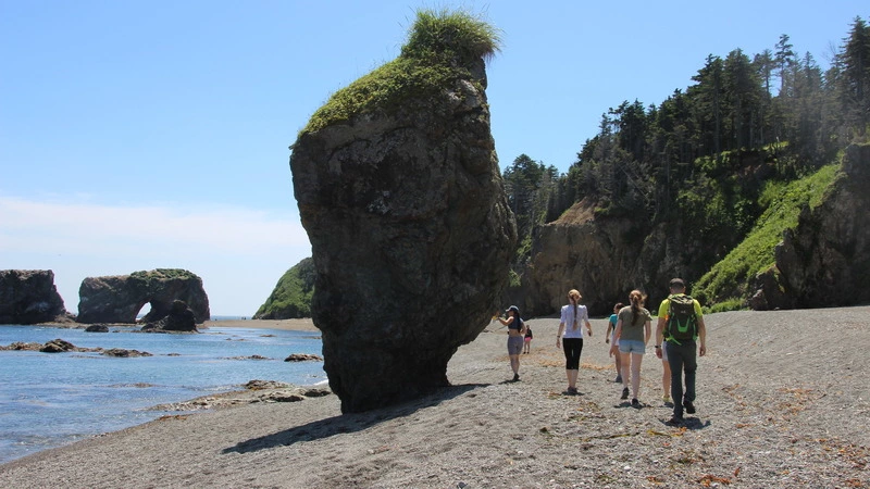 Сивучи и джип-туры манят на Сахалин российских туристов