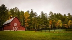 Житель Тымовского ответит в суде за хищение 600 тысяч рублей по программе поддержки фермеров