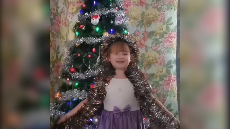 Письмо Деду Морозу: лыжи для Ярослава, запись песни для Вани и электронный питомец для Наташи