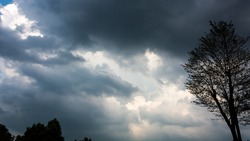 Погода в Южно-Сахалинске на 30 августа: пасмурное небо и небольшой дождь 