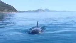 «Дочка» ННК получит лицензию на Байкальский нефтегазовый участок на Сахалине