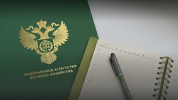 Лесные хозяйства с низкими показателями на Сахалине проверят на эффективность работы