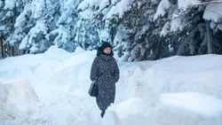 «Это не горы — это город»: Южно-Сахалинск пережил очередную метель