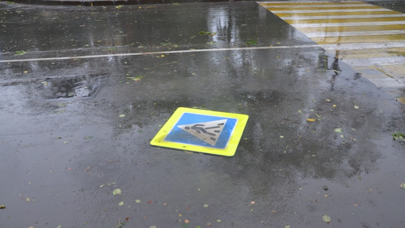 Тайфун в Южно-Сахалинске ломает деревья и сносит дорожные знаки (ФОТО, ВИДЕО)