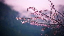 Что ждет вас в марте 2023 года — гадание по картинке