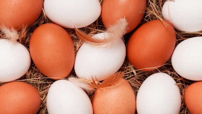 Церковный праздник 15 января 2025: что нельзя делать в этот день, приметы