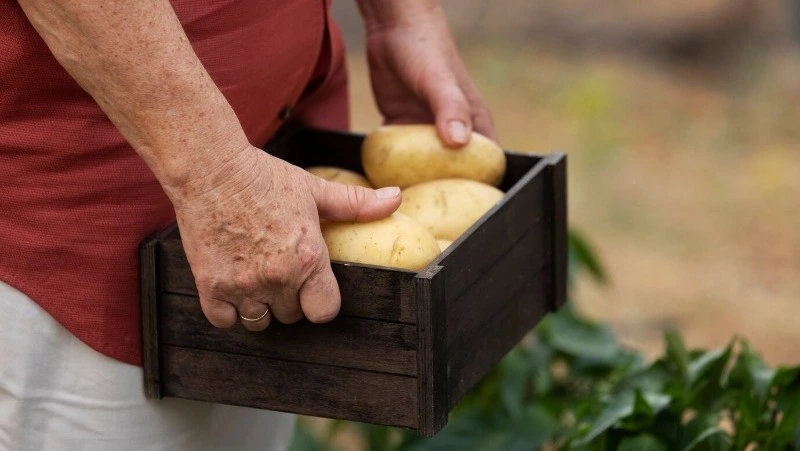 У сахалинского агрохолдинга «Соколовский» в суде не смогли отобрать 11-миллионную субсидию