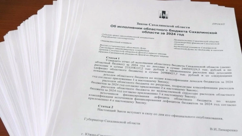 Жители Сахалина и Курил одобрили исполнение областного бюджета за 2024 год