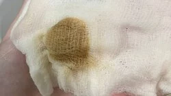 Грязно-желтая вода течет из кранов на юге Сахалина