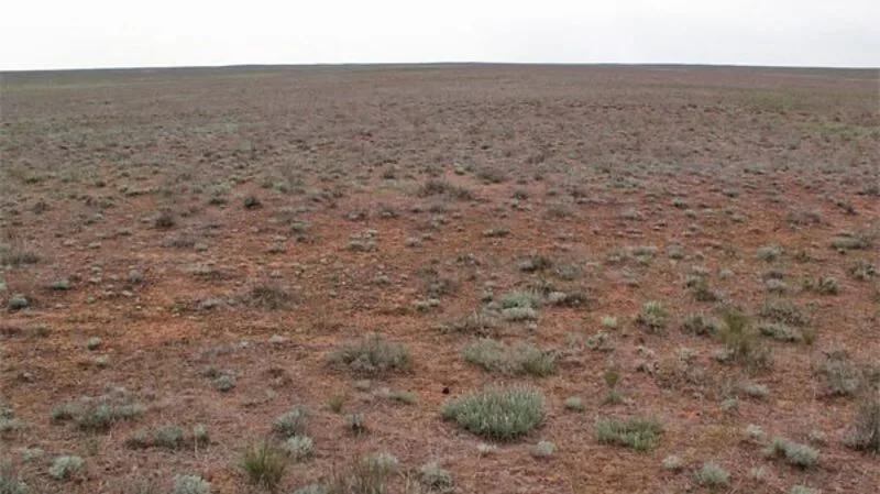 Только 13% участков земли для многодетных обеспечены инфраструктурой на Сахалине