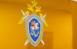 Бездомная собака искусала 7-летнего ребенка в Поронайске