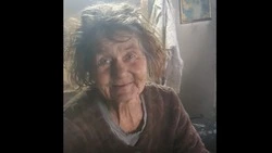 Престарелая отшельница на юге Сахалина живет в хижине с 10 кошками