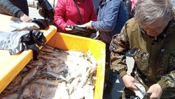 Бесплатную рыбу раздали жителям Долинска