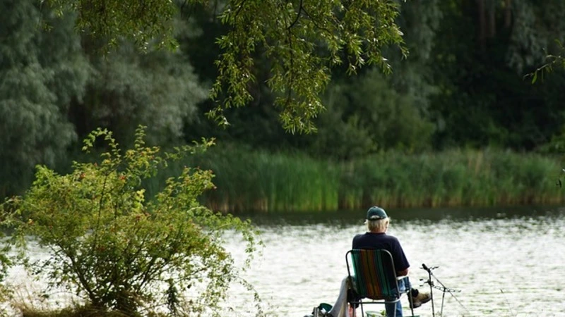 Прибавки к пенсии расширят, рыба дорожает, скорость для авто не ограничат. Главное на утро 10 июня