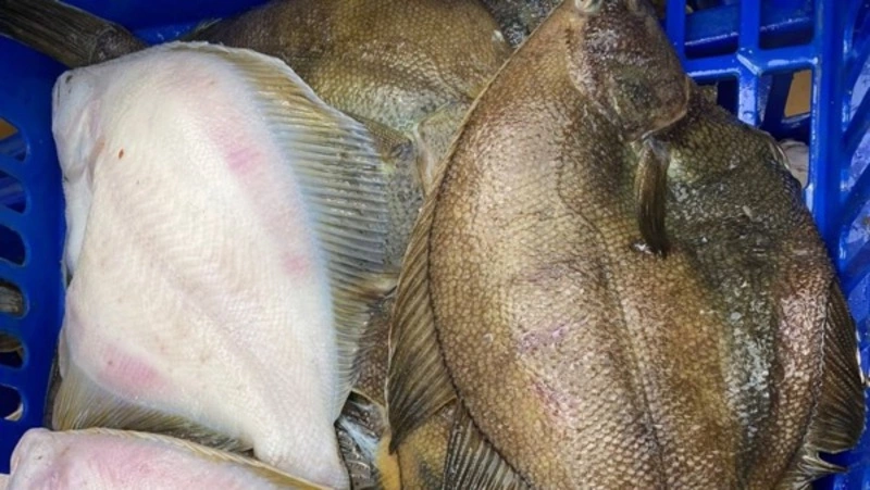 Рыбу по низким ценам привезли в Поронайский и Невельский районы 28 июля