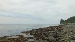 Рядом с Кунаширом сдали в аренду 110 га рыбоводного участка для выращивания морепродуктов