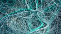 Вылов лососей неводами могут частично ограничить в акватории Сахалина и Камчатки 