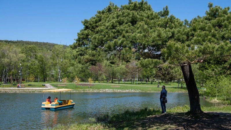  Низкое атмосферное давление и до +31 градуса прогнозируют синоптики в Южно-Сахалинске 23 июля