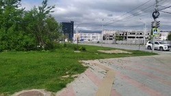 Заросли борщевика не дают спокойно жить людям в Южно-Сахалинске 