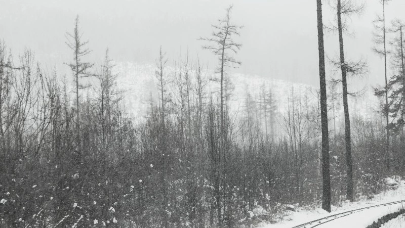 Ураганный ветер и метель накроют Северные Курилы 10 января