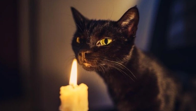 Сотни жителей Южно-Сахалинска проведут 25 ноября без света