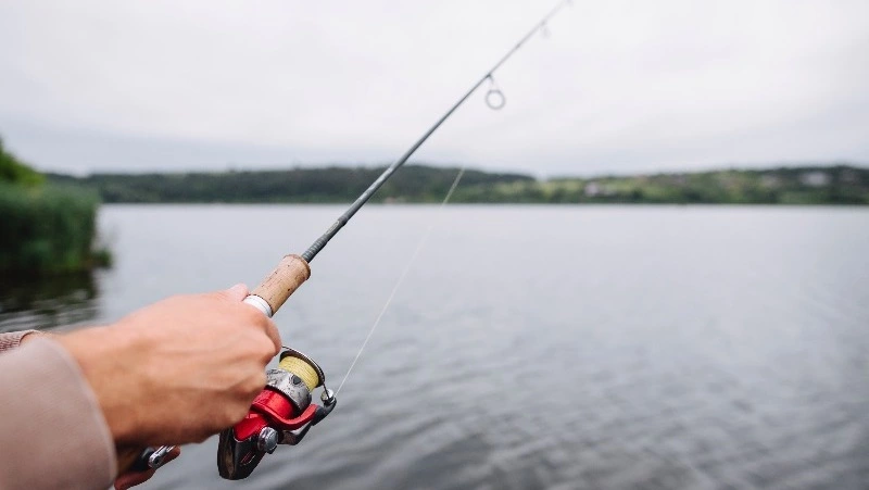 В Брянской области рыбак задел удочкой ЛЭП и получил ожоги половины тела